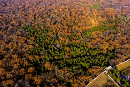 Exclusive 2 Days 1 Night Private Tour: Qufu Confucius Temple, Kong Family Mansion & Mount Tai - Image 5
