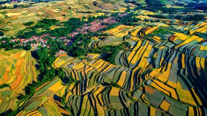 Shandong Highlights: A 9-Day Journey Through History and Culture - Image 11
