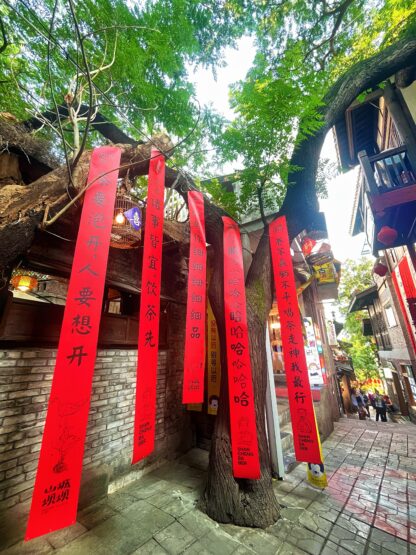 Discover Chongqing: 2-Day Private Customizable Tour - Image 4