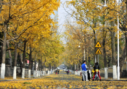 Discover Qingdao: A 2-Day Journey Through Coastal Charm & Taoist Serenity - Image 6